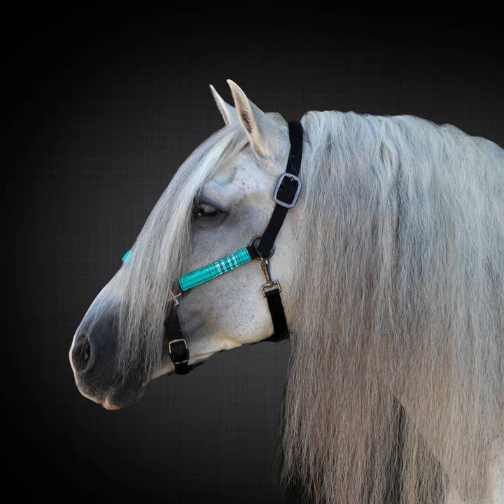 Kensington - Wholesale Horseback Riding Gear - Premium Nylon Halter11