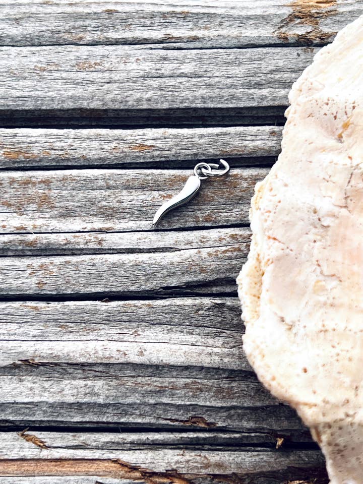 Colgante de cuerno italiano (CORNICELLO) de plata para venta al por mayor de bella•fortuna