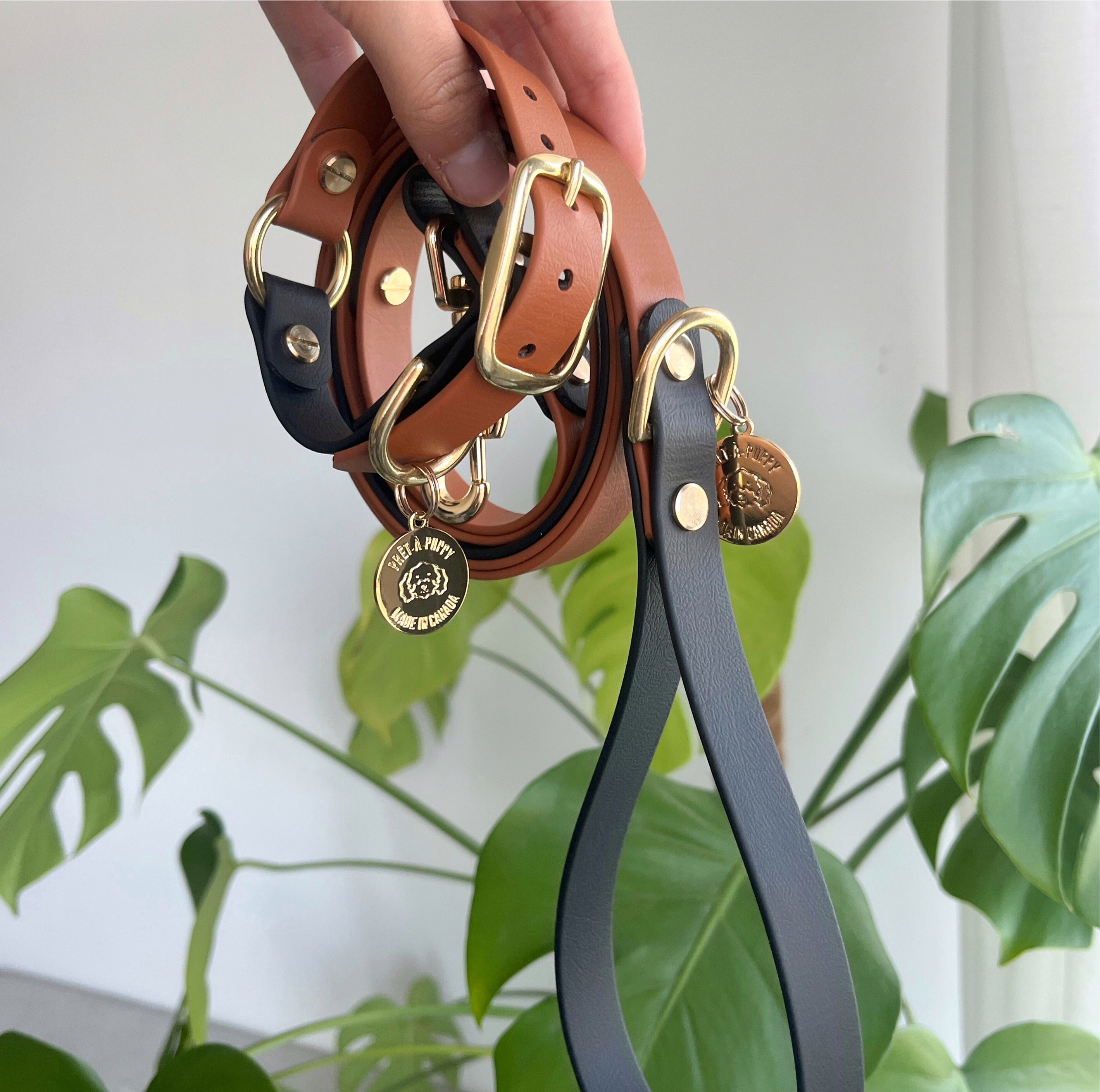 PRÊT-À-PUPPY - Vente Collier – chien - Collier original : créez le vôtre15