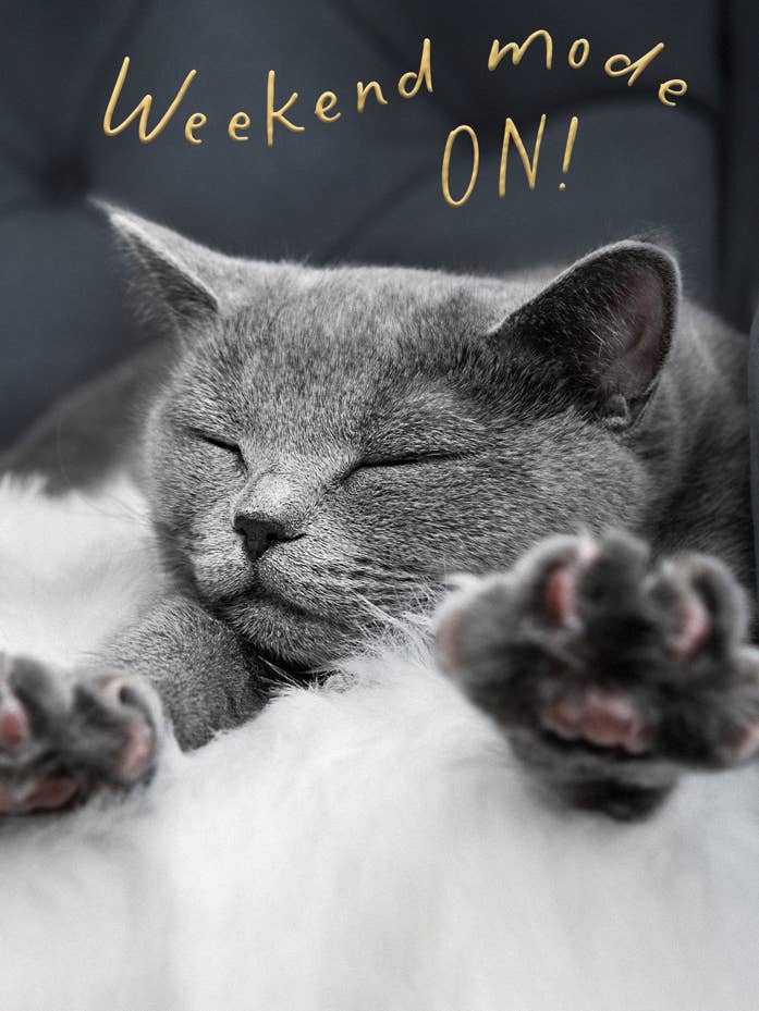 Helgläge på för wholesale av Abacus Cards and Clare Maddicott Publications