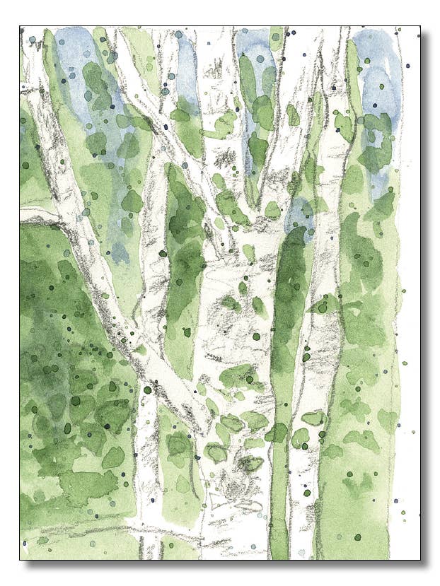 White Birch Trees Notecards for wholesale by WORDS & WATERCOLORS BY PEG CONLEY