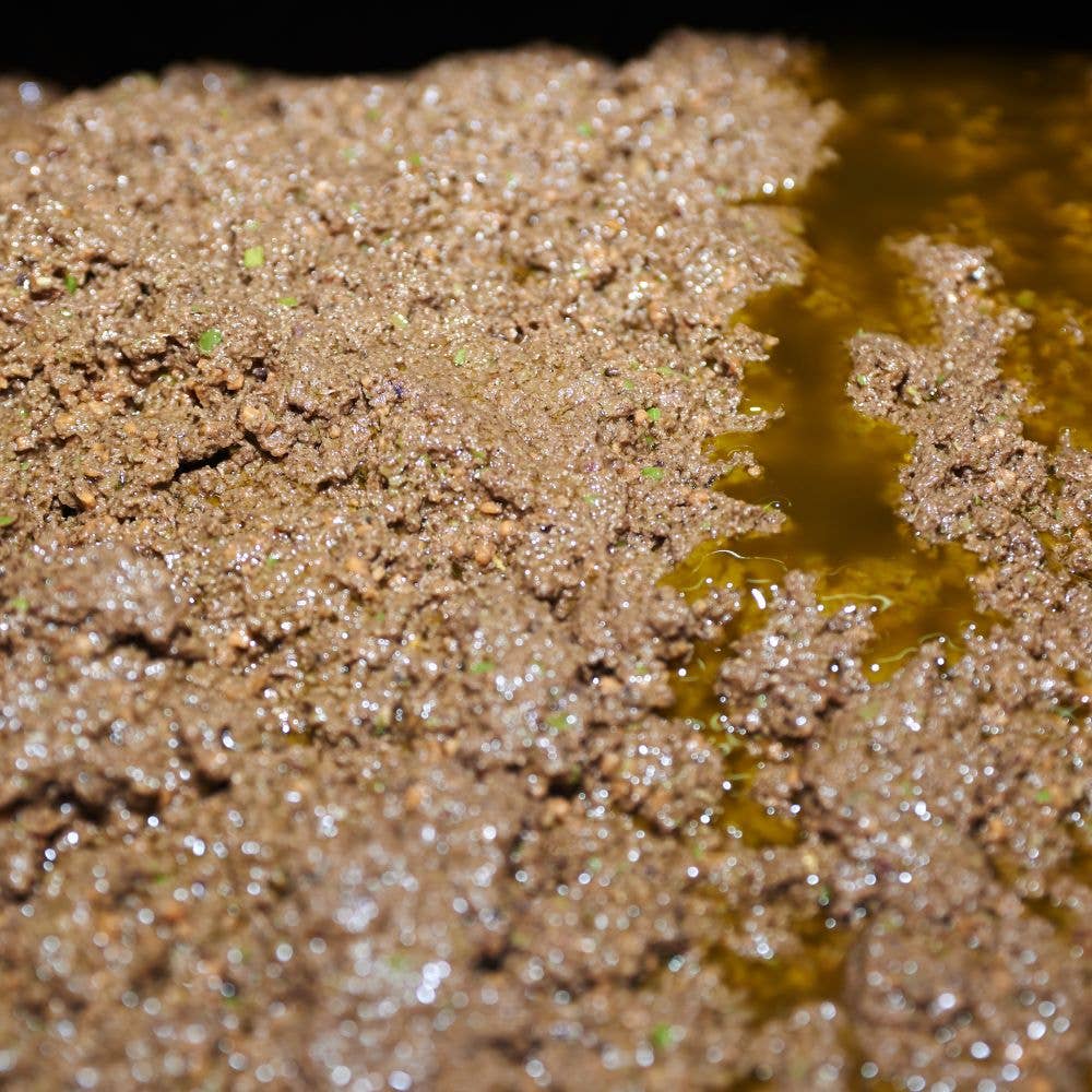 L'ABELLA MIEL – Großhandel Olivenöl – L'Abellamel Natives Olivenöl Extra Flasche – 500 ml3