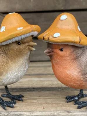 Svampe Robin for engroshandel hos ABitQuackers