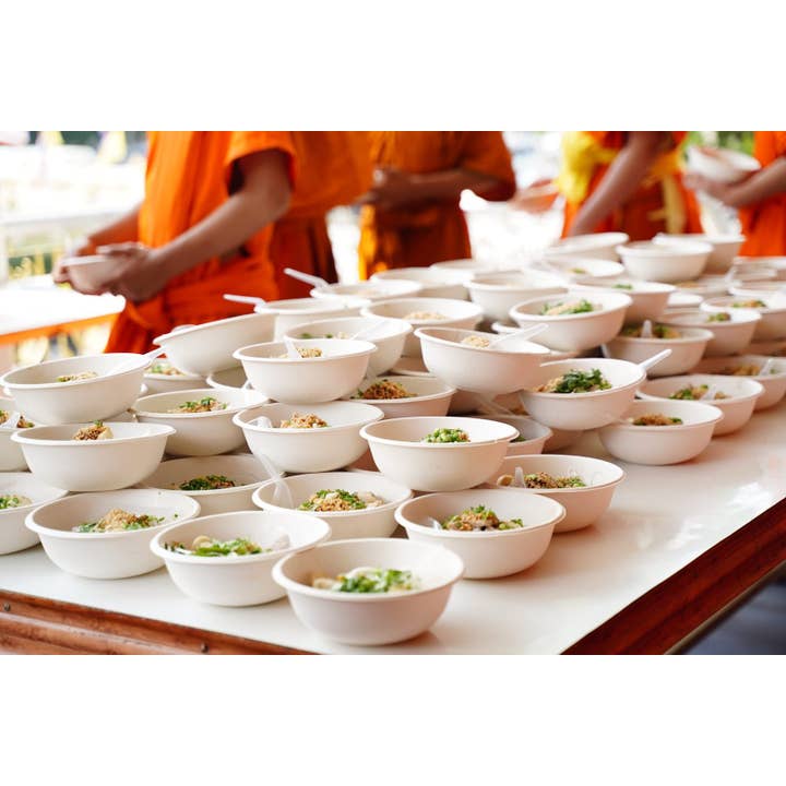 Clene Pack - Wholesale Disposable plate - CLENE PACK100% Compostable Bagasse Bowls 3