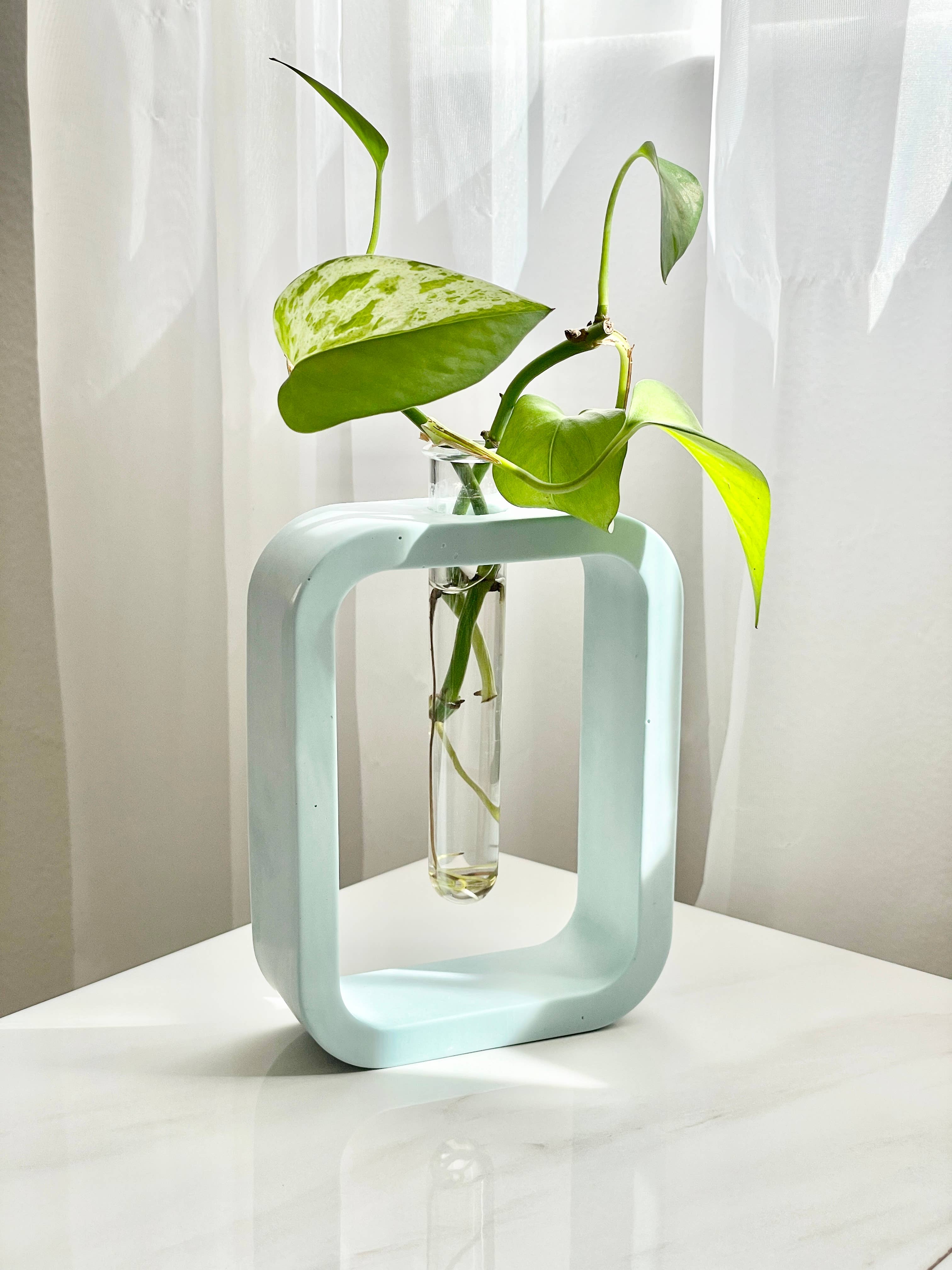 Need it Right MEOW – Großhandel Vasen – Betonständer mit Glas-Propagationsröhrchen und Vase [bunt]2