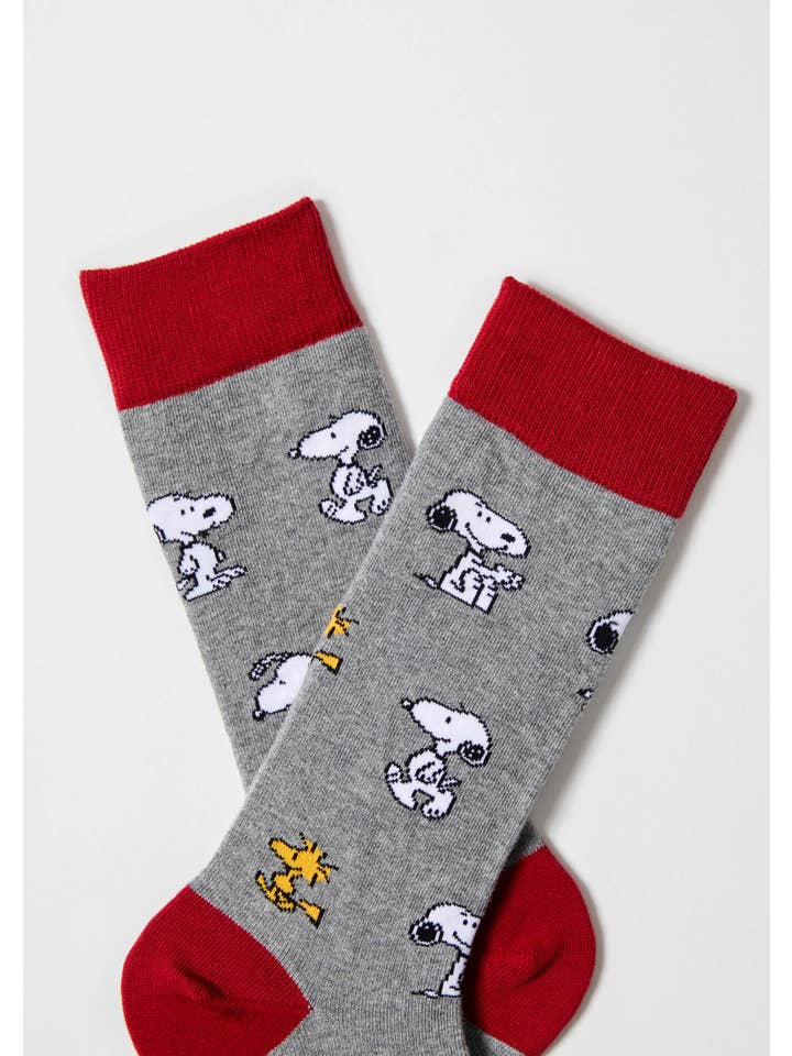 BeSnoopy Grey - 100% Organic Cotton Socks for wholesale on Faire1