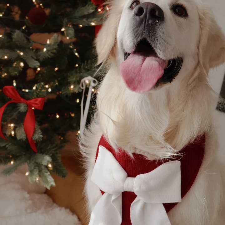 The Deluxe Pup - Wholesale Pet Bandana - Dog - BANDANA | CHRISTMAS IN THE CITY1