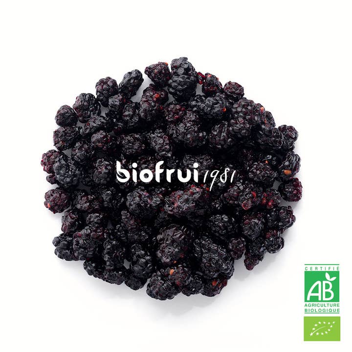 BIOFRUI1981 / Ex-Biofruisec – wholesale Torkad frukt – Ekologisk vild björnbär från Dinariska alperna torkad | Bulkpåse 1kg