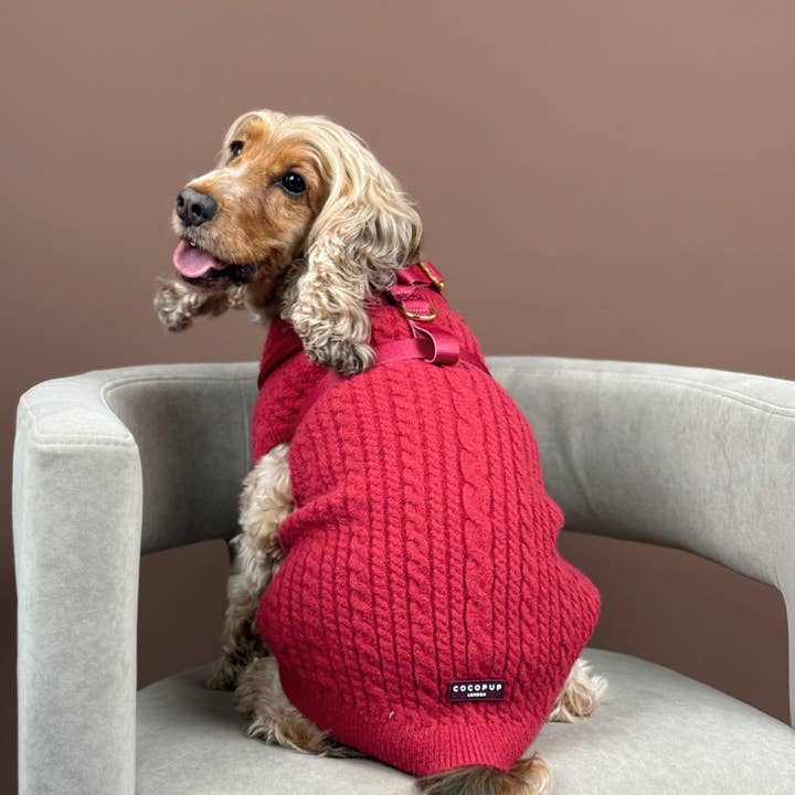 Cocopup London - Wholesale Pet jumper – Dog - Cable Knit Jumper - Mulled Wine5