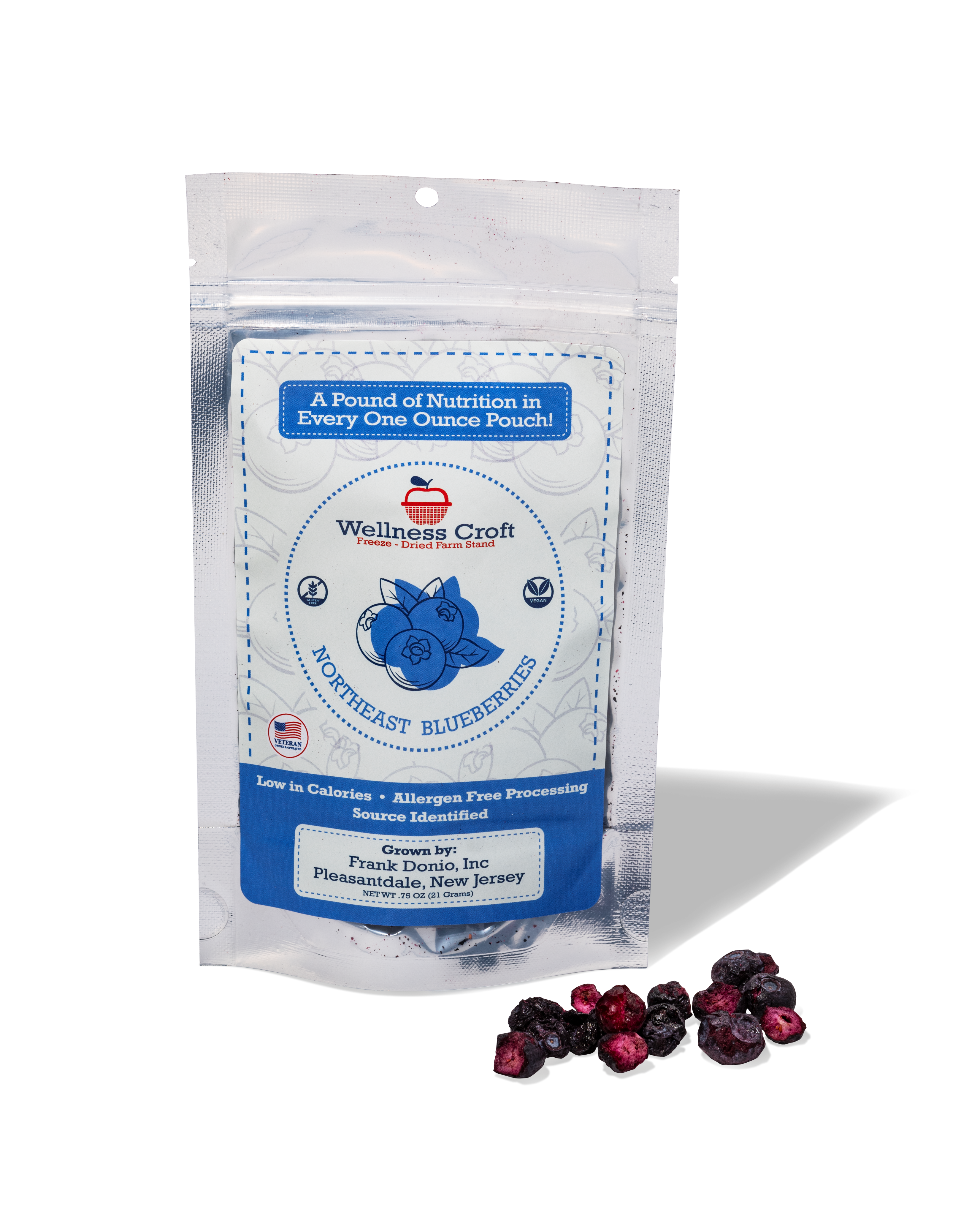 Wellness Croft - Wholesale Dried/Dehydrated Fruit - Freeze-dried Northeast Grown Wild Blueberry Pouch0