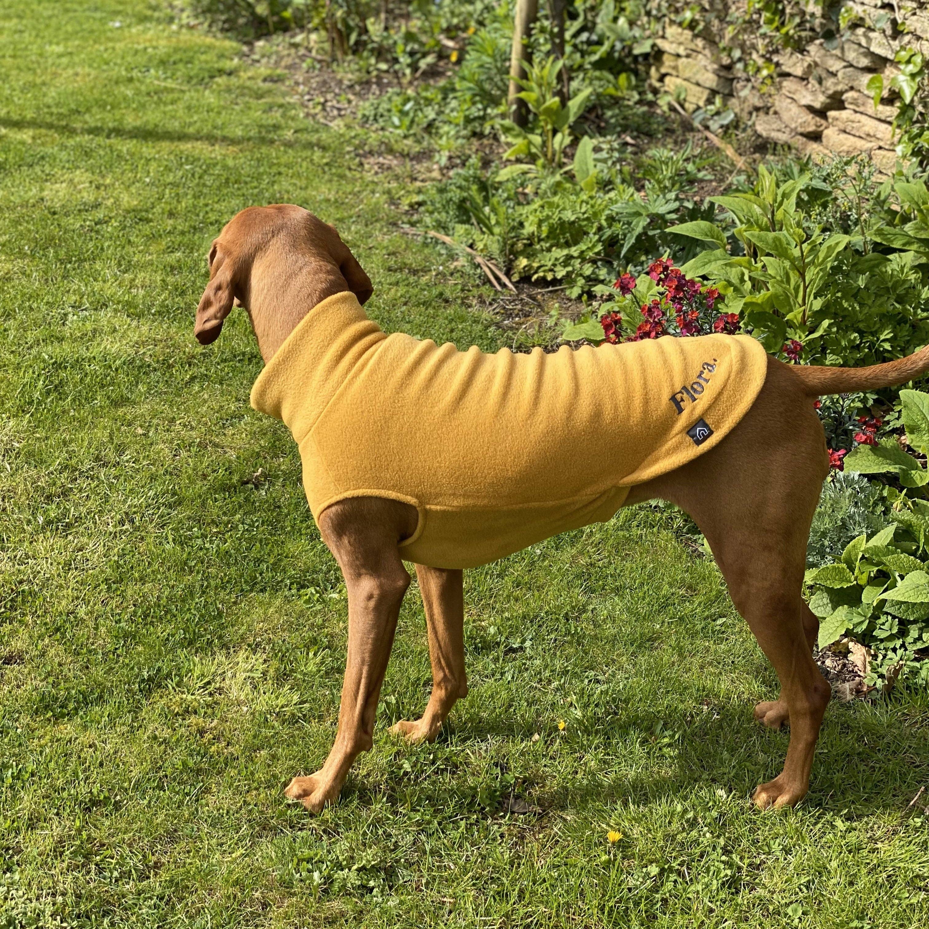 Doghouse – wholesale Tröja - Hund – Hundtröja i fleece för stora raser1