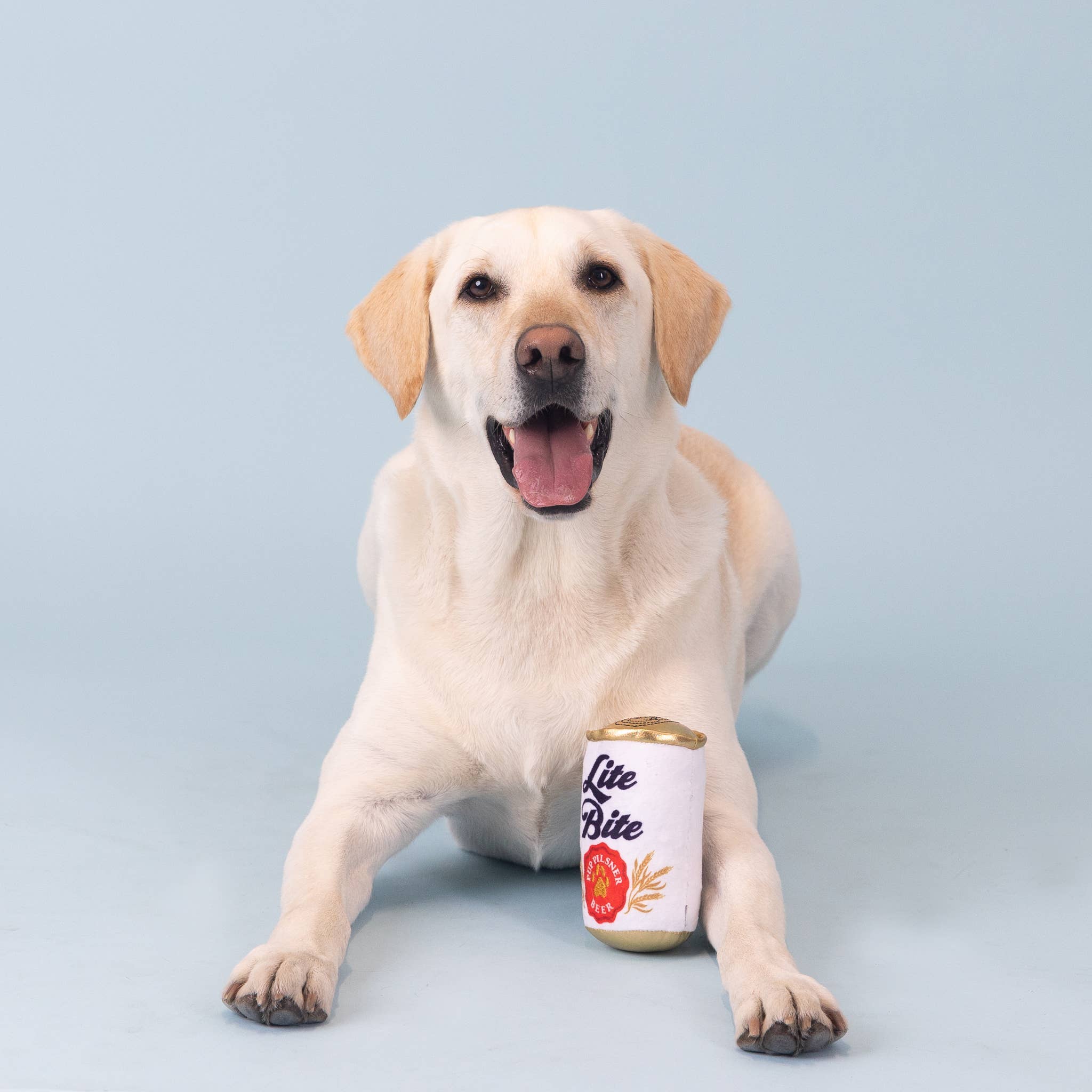 Only An Ocean Europe - Wholesale Pet Plush Toy - Dog - Fringe Lite Bite Pup Pilsner Plush Dog Toy2