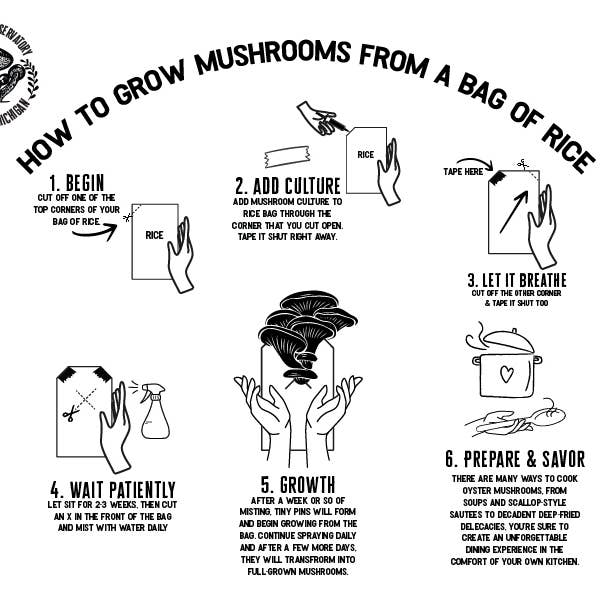 The Mushroom Conservatory LLC - Wholesale DIY Food Kit - King Oyster Gourmet Mushroom Growing Kit: DIY Feast!3