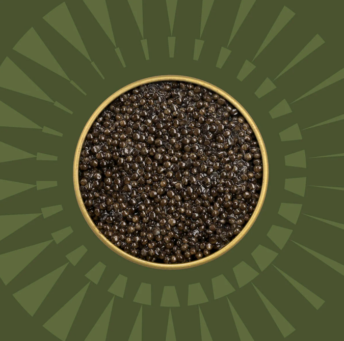 Golden Goat Caviar - Wholesale Fish/Seafood - Siberian Sturgeon Caviar1