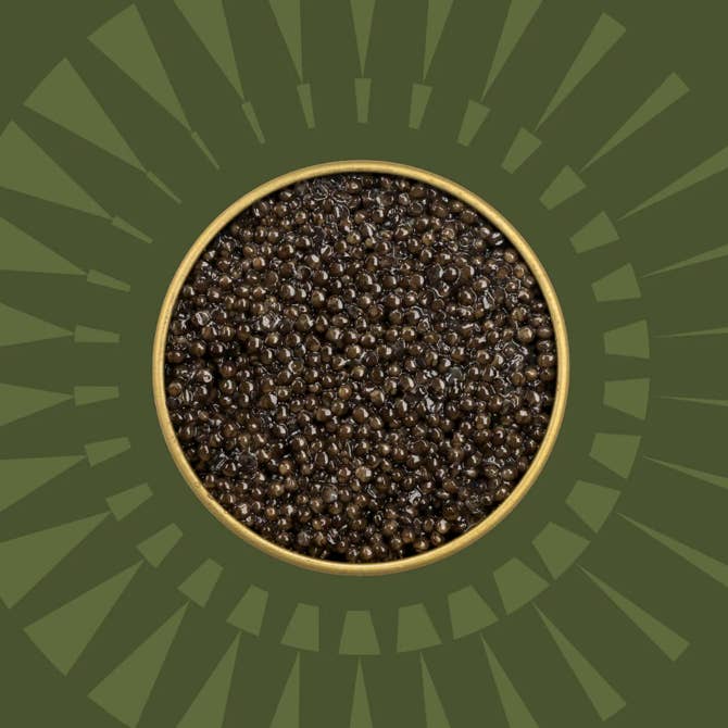Golden Goat Caviar - Wholesale Fish/Seafood - Siberian Sturgeon Caviar1