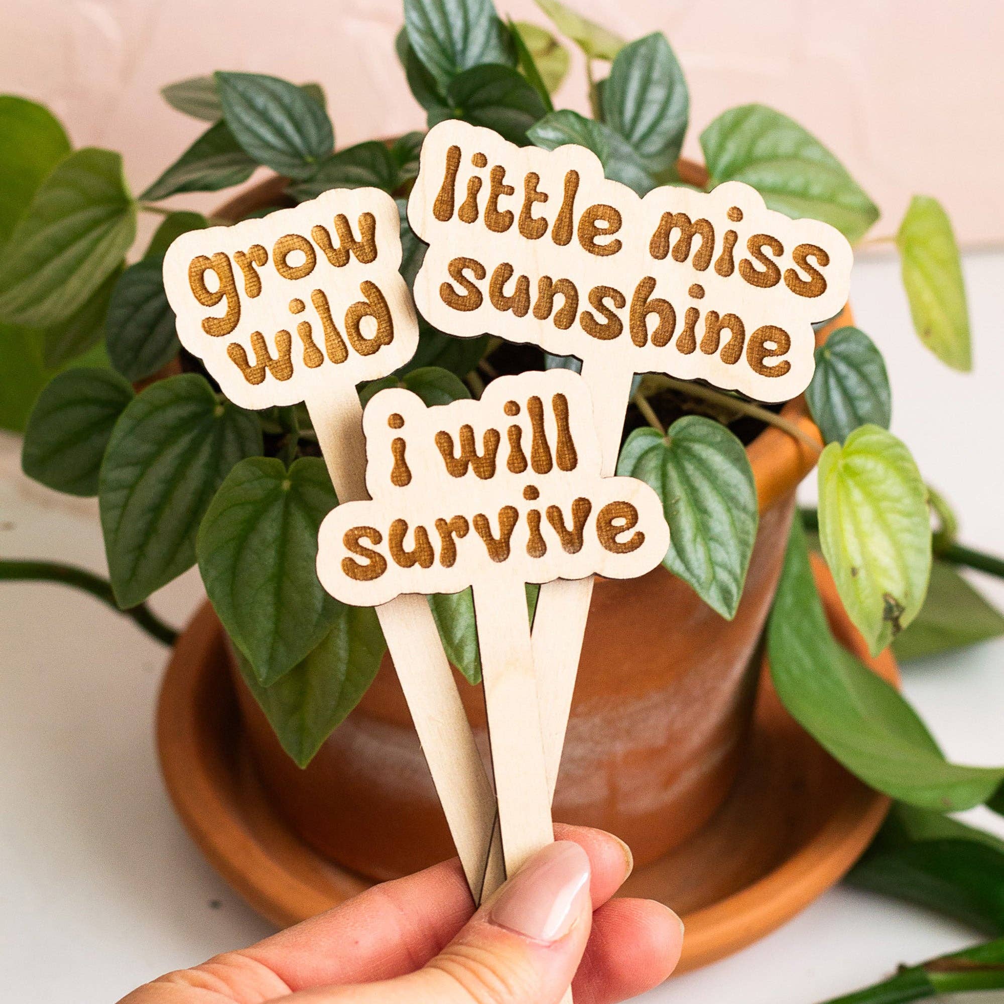 The Print Pantry - Wholesale Garden/Lawn Stake - Retro Funny Wooden Plant Markers