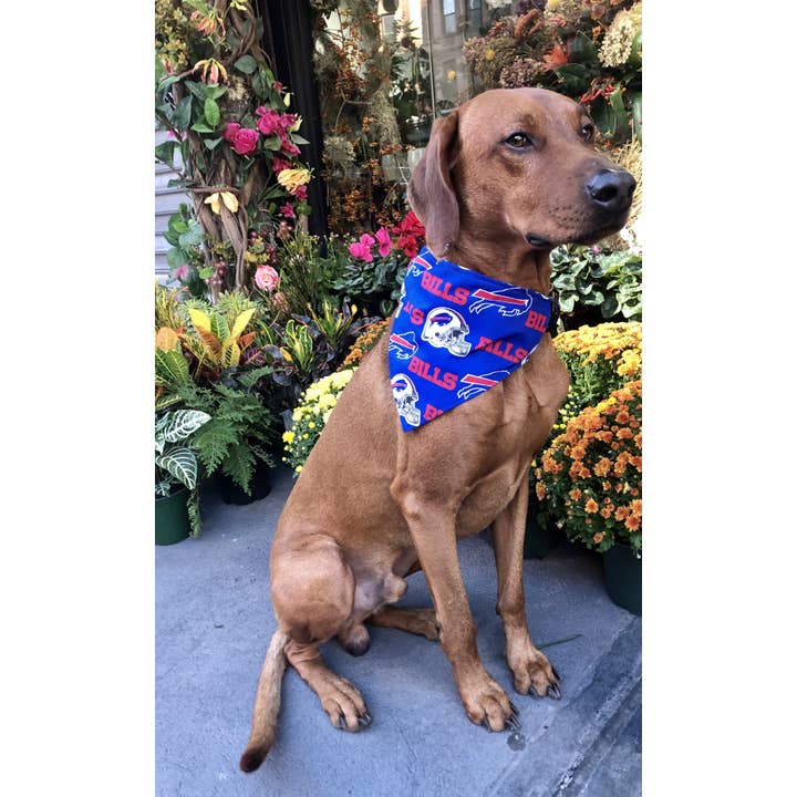 Koa's Ruff Life - Wholesale Pet Bandana - Dog - Buffalo Bills Bandana - Football Collection