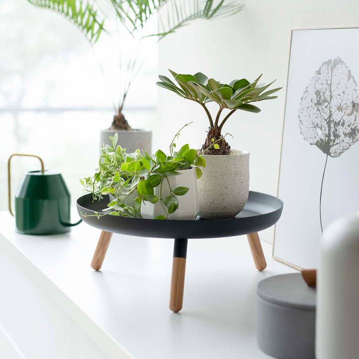 Yamazaki Home - Wholesale Decorative Tray - Countertop Pedestal Tray - Steel + Wood5