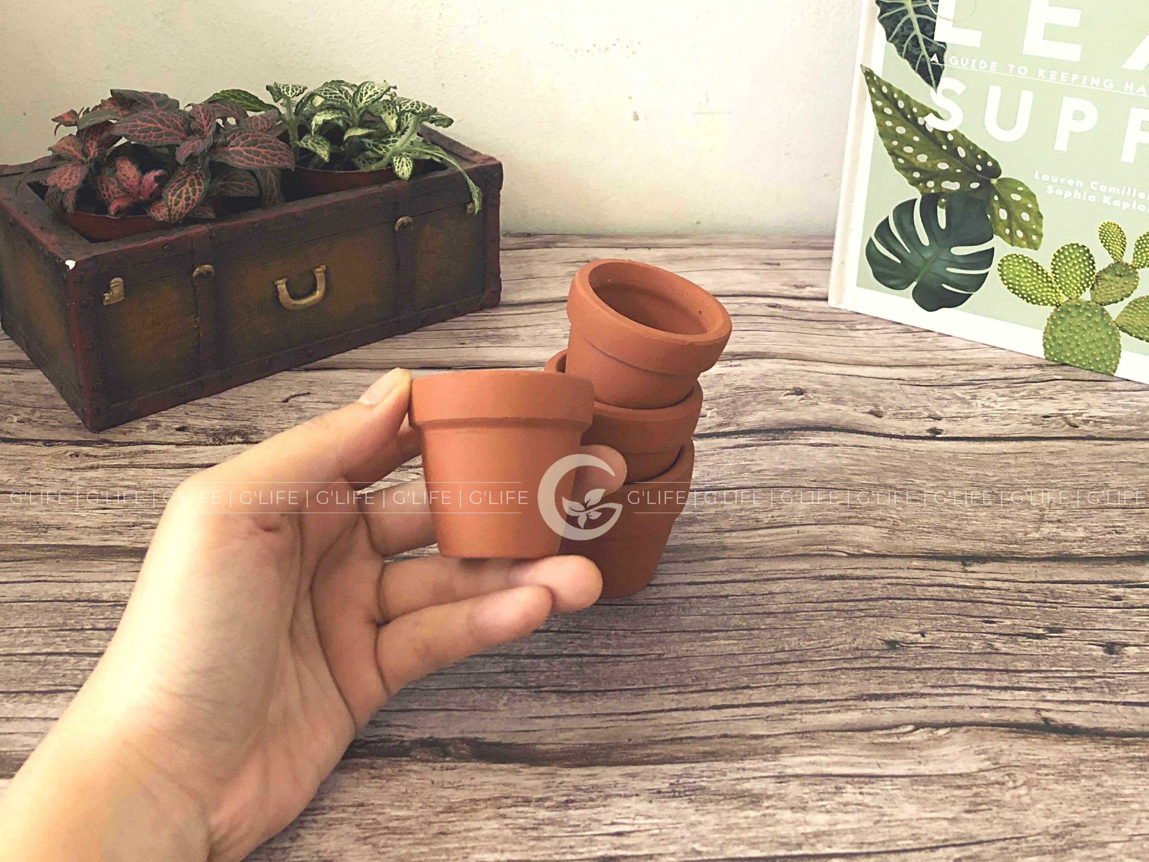 GLifee - Wholesale Plant Pot - 2" Tiny Terracotta Clay Plant Flower Pot - Drainage Hole10