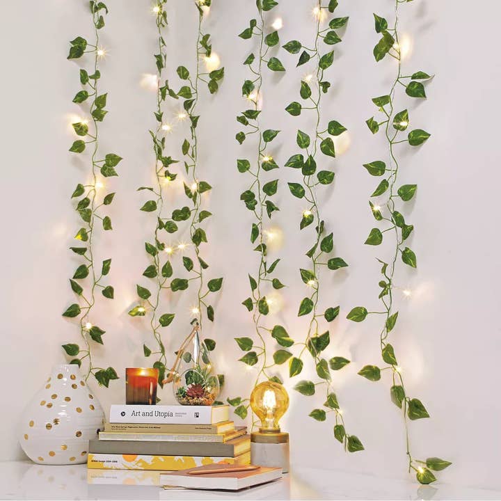 Perfect Holiday - Vendita all'ingrosso Fili di luci - Stringa di luci a LED per tende a vite da 12,7 x 8,9 cm, colore: bianco caldo