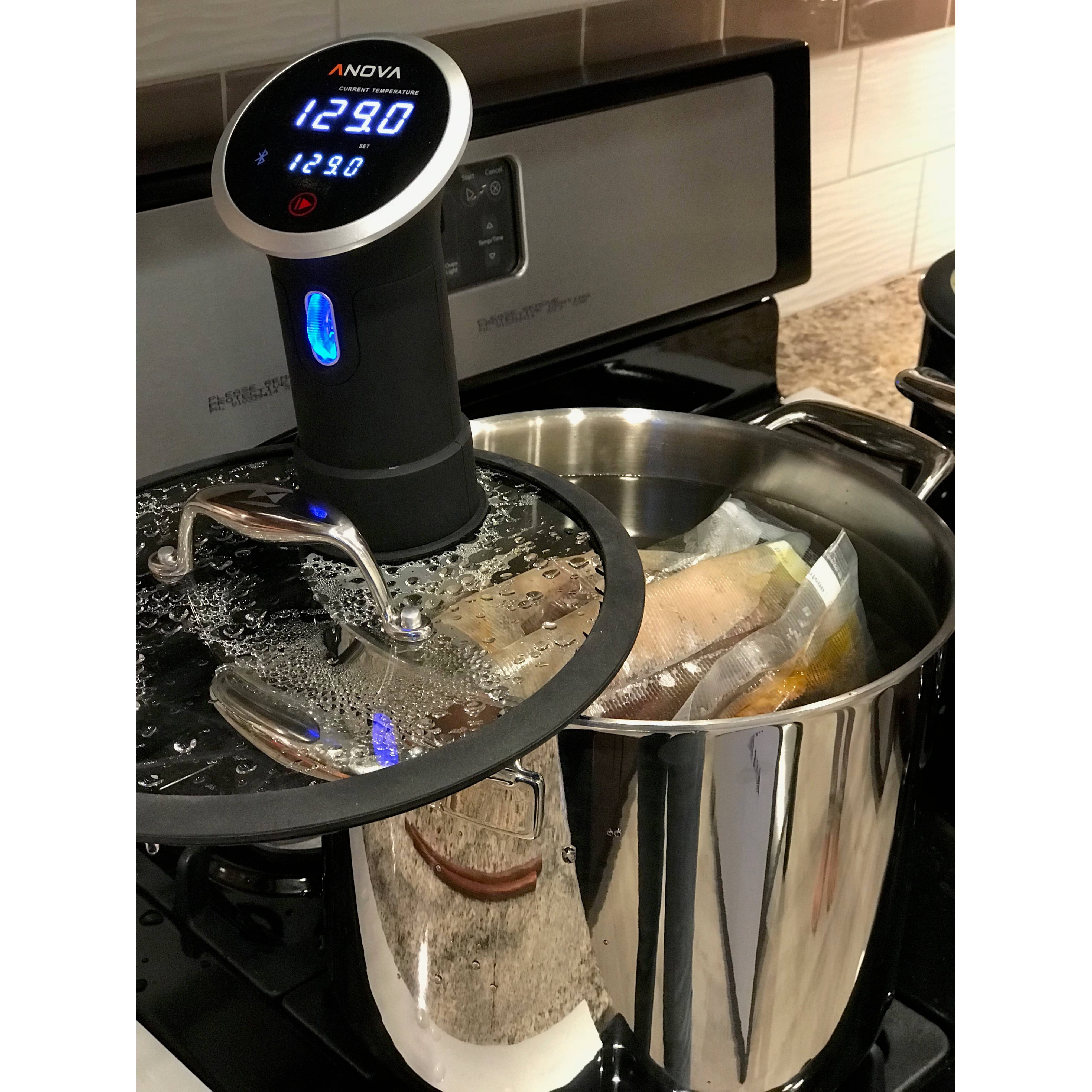 Lynns - Wholesale Cooking Pot - Triply 9.8-Quart Stockpot w/ Portal in Lid for Sous Vide5