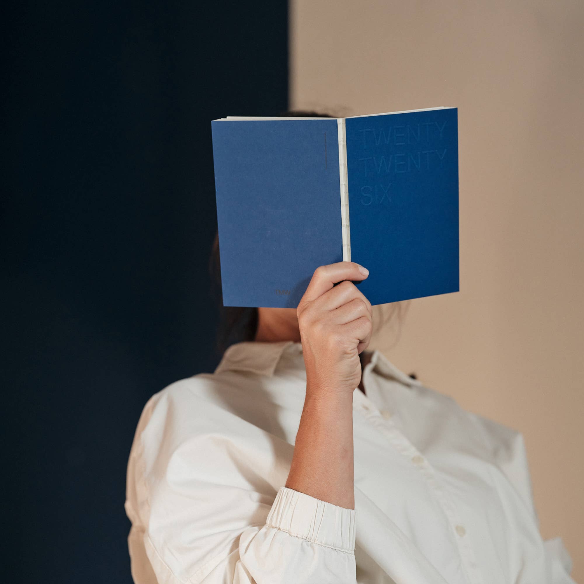 This Might Work – wholesale Journal/diary – Journal 2026 - Sapphire8