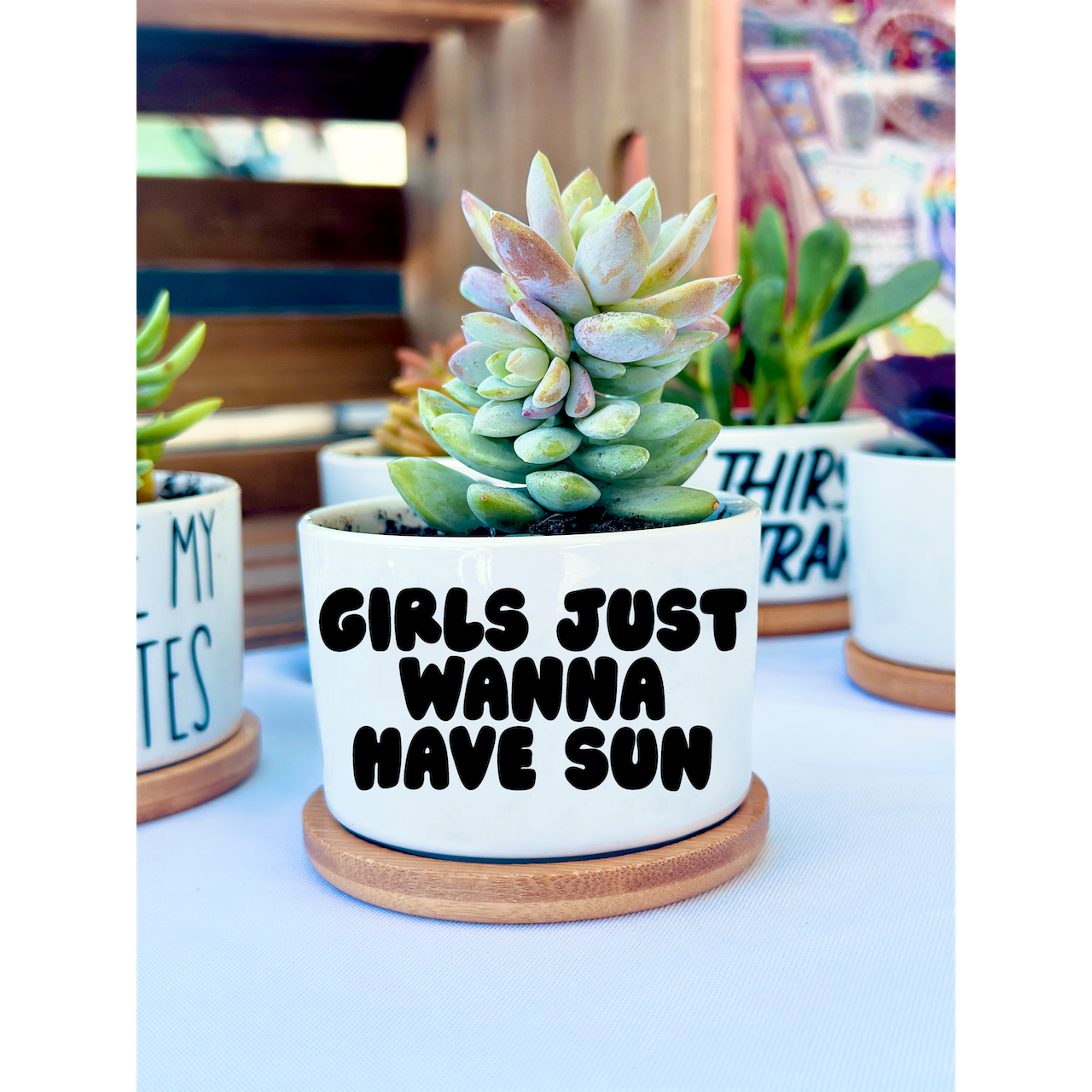 Peach Tree Design Shop - Venta al por mayor Macetas - Mini macetas divertidas, maceta con juego de palabras, macetero para suculentas11
