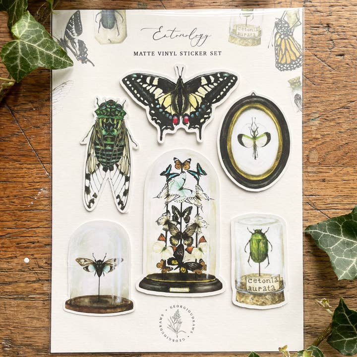 Georgiou Draws - Wholesale Sticker - Entomology Matt Vinyl Sticker Set | Curious Oddities Art