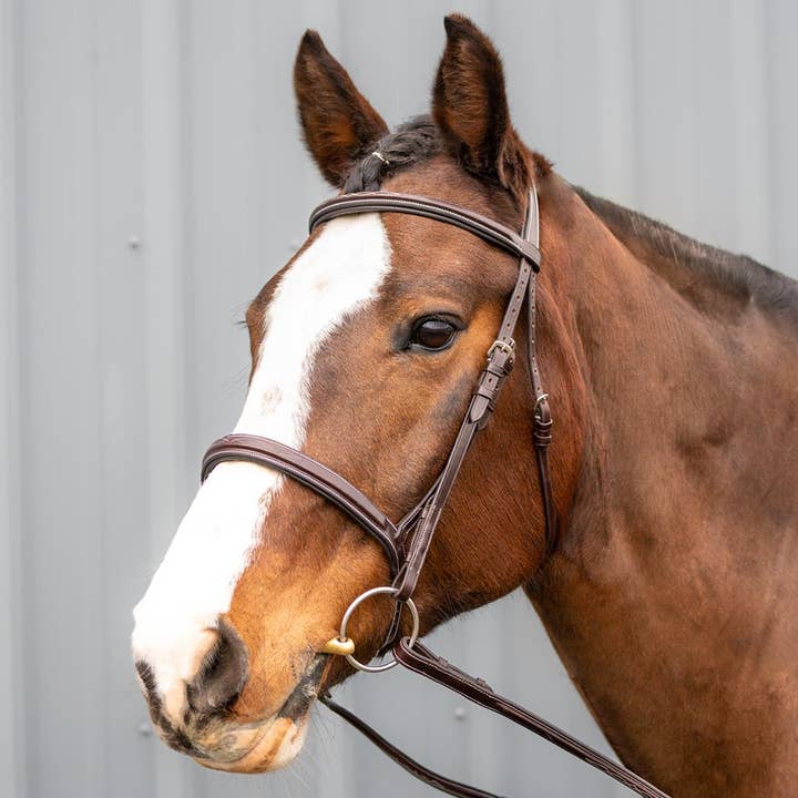 Grewal Equestrian - Wholesale Horseback Riding Gear - Marco Simone Italian Monocrown Bridle with Removeable Flash