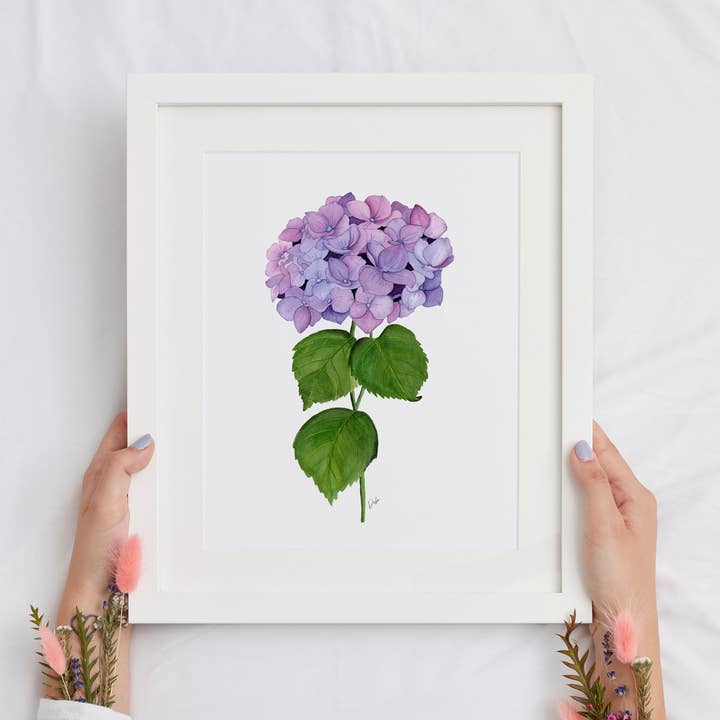 Imprimé floral d'hortensia aquarelle | Impression d'art giclée pour la vente par Markdisha Designs