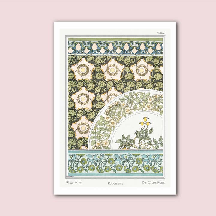 Padrão de rosa selvagem Verneuil Vintage Botanical Print por atacado de Holland Road Prints