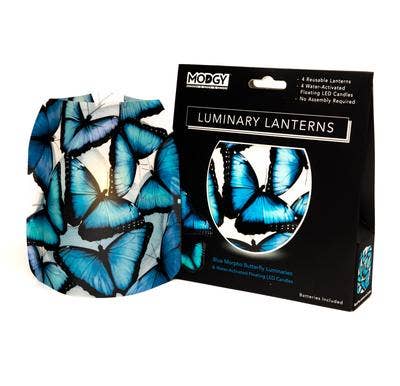 Modgy - Wholesale Lantern - Luminary Lantern - Blue Morpho Butterfly