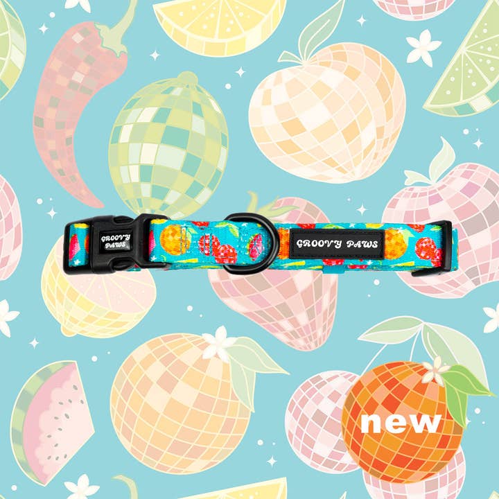 Collar - Funkin' Fruit for wholesale by Groovy Paws