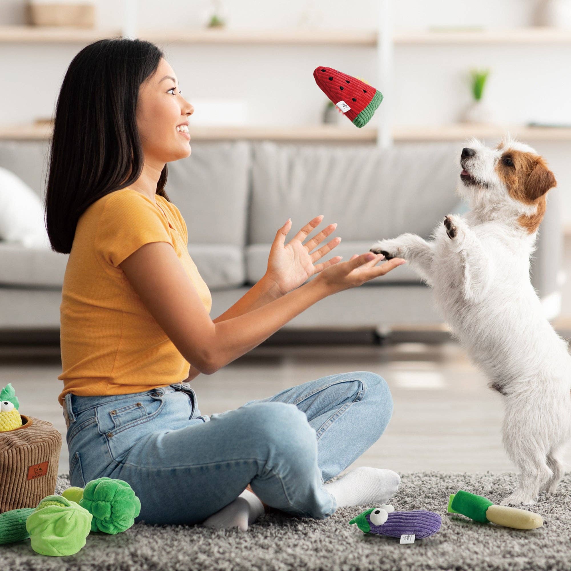 Nocciola - Wholesale Pet Squeaky Toy - Dog - 15 Pack Grocery Bag Fruit & Vegetable Crinkle Dog Squeaky Toys with a Basket5