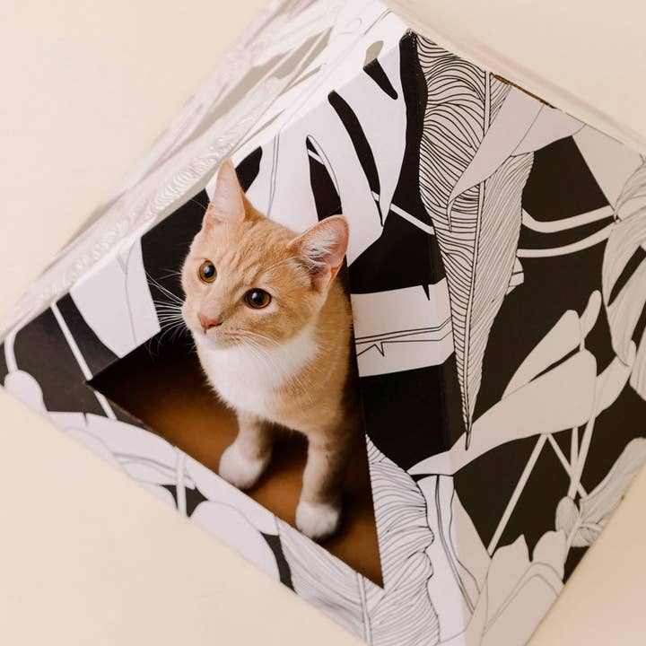 Kitty Kardboard – Coçador de gato - Gato por atacado – Pirâmide de gato de papelão 'Dark Paradise'