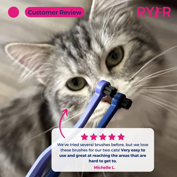 RYERCAT - Vente Brosse – chat et chien - Lot de brosses à dents à micro-tête et double face pour chat, couleurs mélangées !4