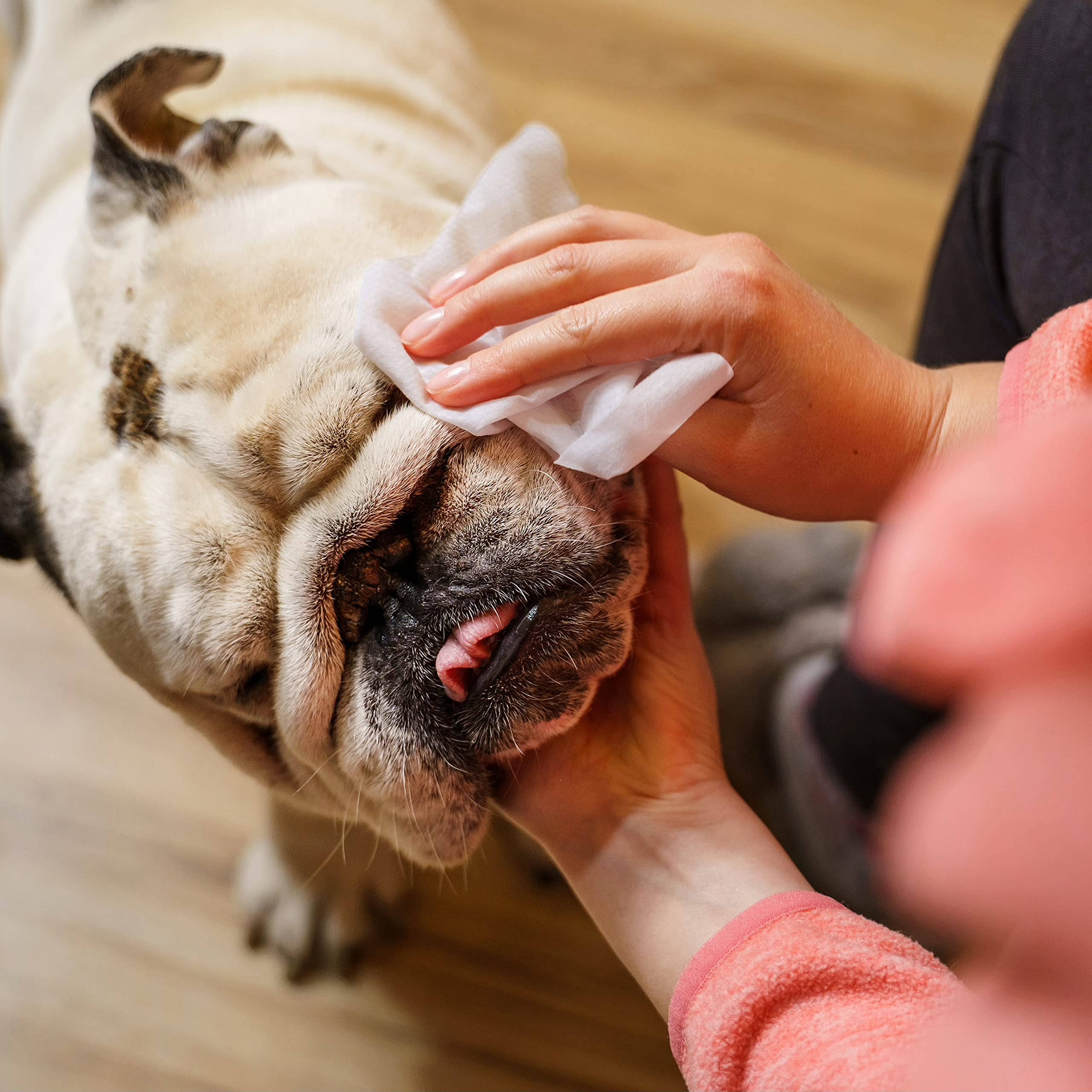 Inspire - Vendita all'ingrosso Strumento per la toelettatura del pelo - Cani - Salviette per animali domestici Inspire Naturals, confezione da 508