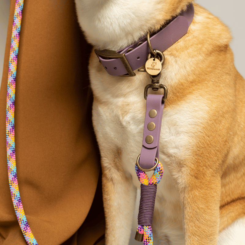 KITSUNE.DOG - Wholesale Pet Leash - Dog - Rainbow paracord MULTIPOSITION leash / LILAC biothane2