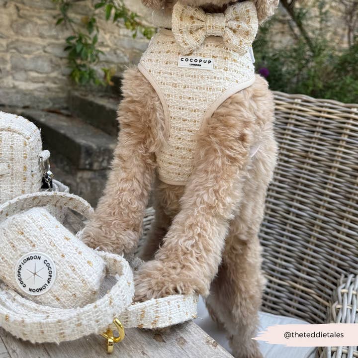Cocopup London - Wholesale Pet harness – Dog - Vanilla Textured Tweed Adjustable Neck HARNESS9