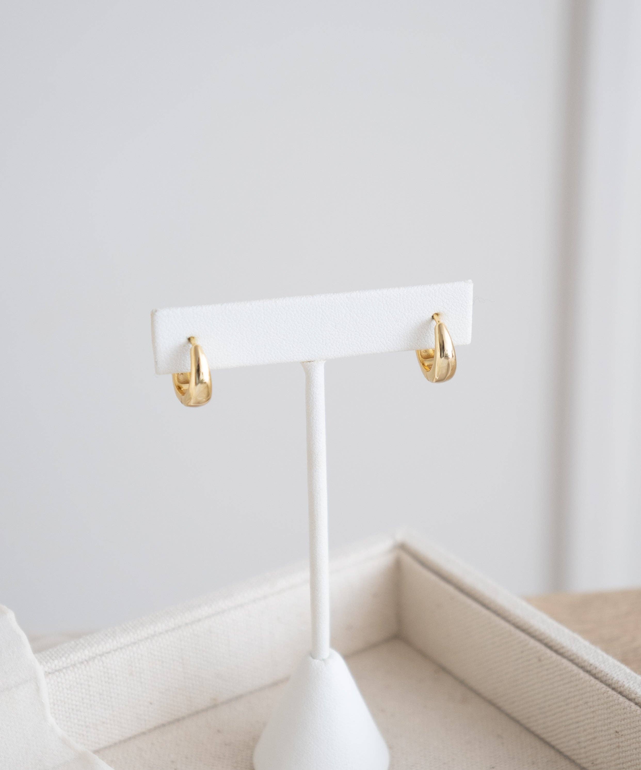 AALLYN - Wholesale Huggie Earrings - Isla Huggie Hoops3