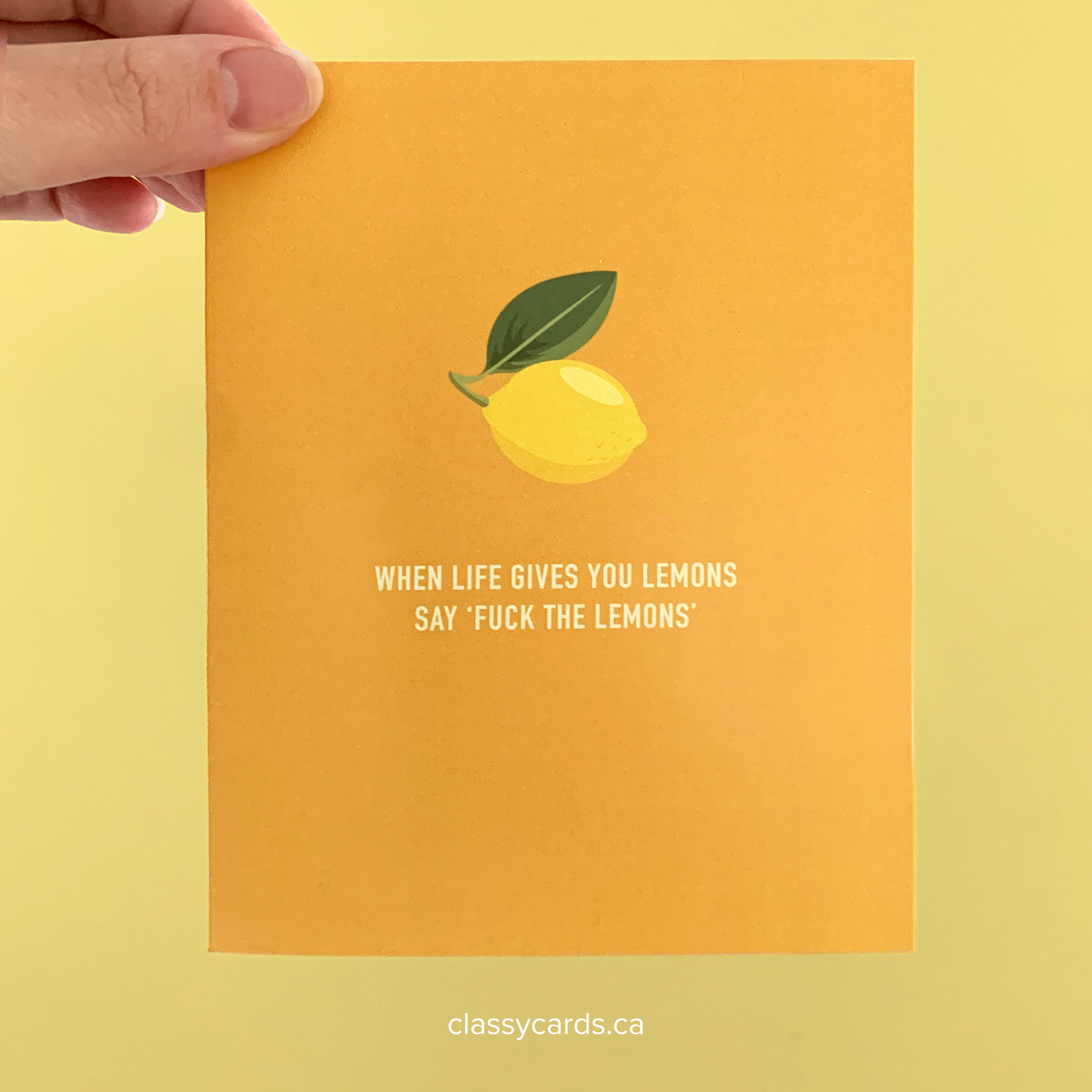 Classy Cards Creative - Wholesale Everyday Greeting Card - Lemons Greeting Card1