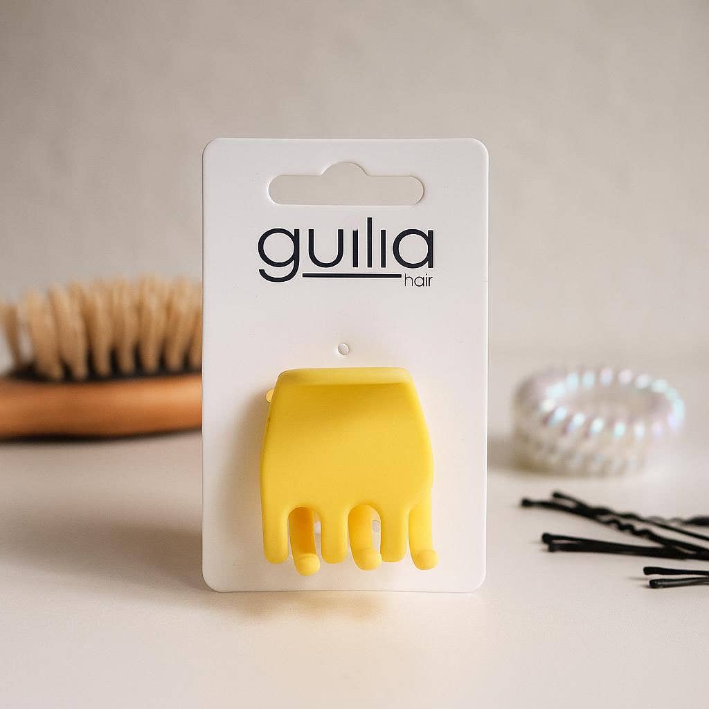 NHP International - Wholesale Hair Accessories Set - Women's - Mix of various trendy Guilia hair accessories - Hair clips, 6