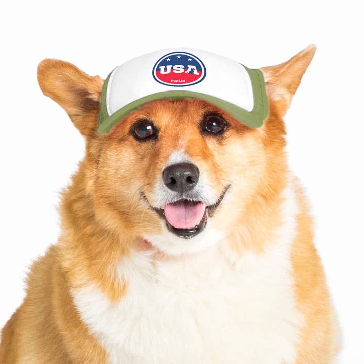 PupLid – wholesale Hatt - Hund – USA Stars Design l Truckerhatt för hundar10