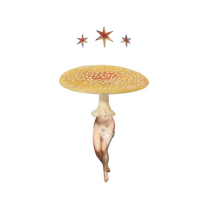 Estampado Amanita Star amarillo para venta al por mayor de Nature Morph