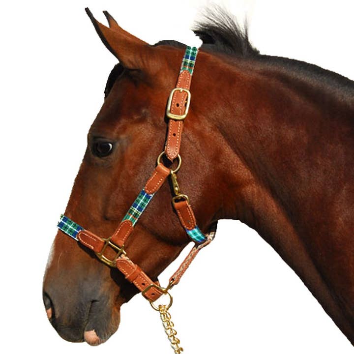 Intrepid International - Wholesale Horseback Riding Gear - 1" Highland Plaid Nylon Halter with Leather Accents