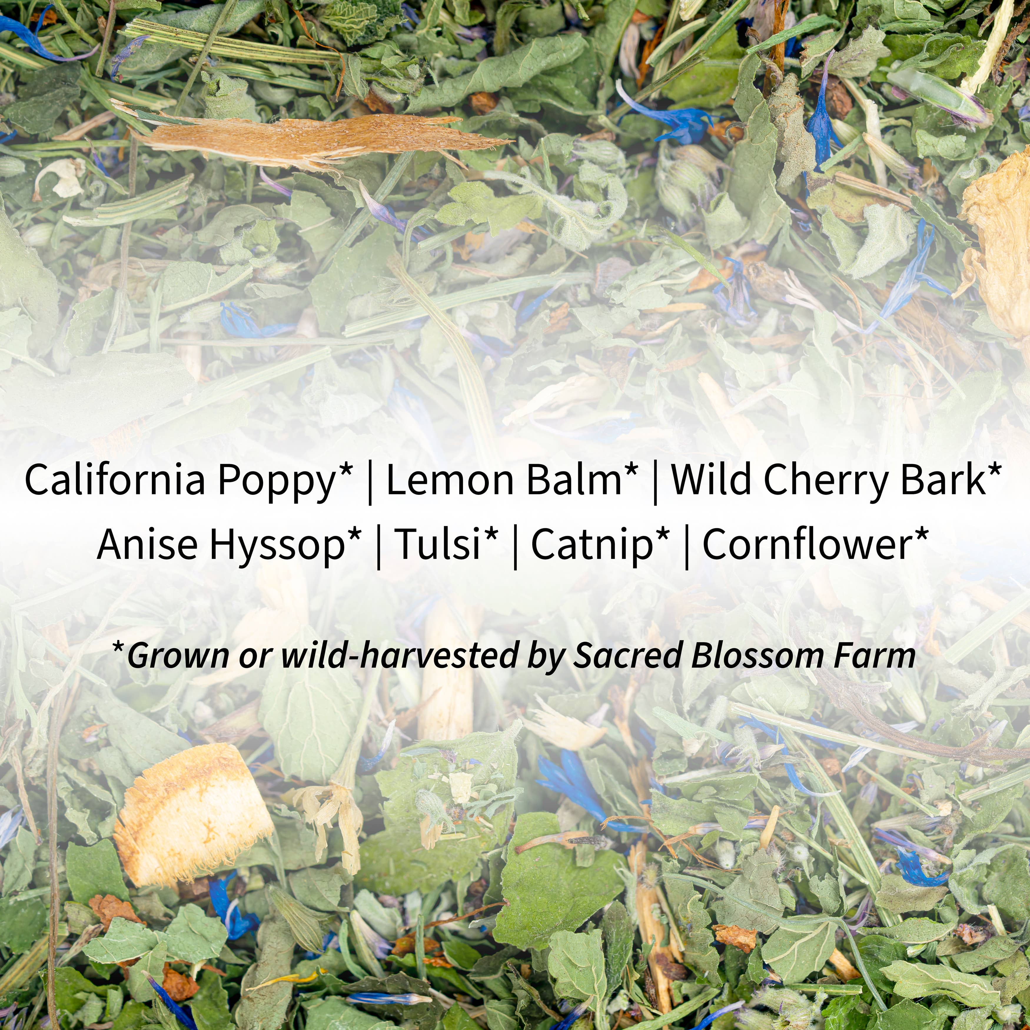 Sacred Blossom Farm - Wholesale Loose Tea - Dream Herbal Tea4