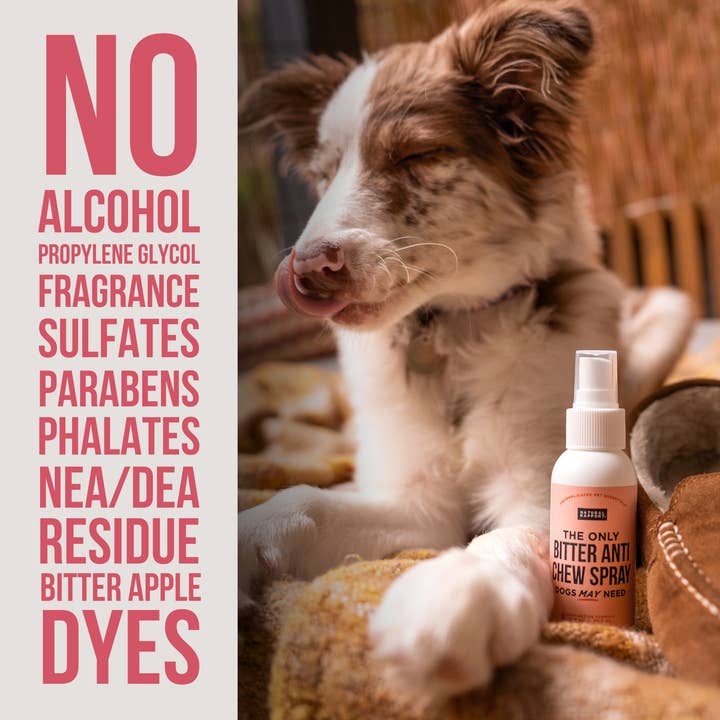 Natural Rapport - Wholesale Pet Spray - Dog - The Only Bitter Anti Chew Spray Dogs May Need2