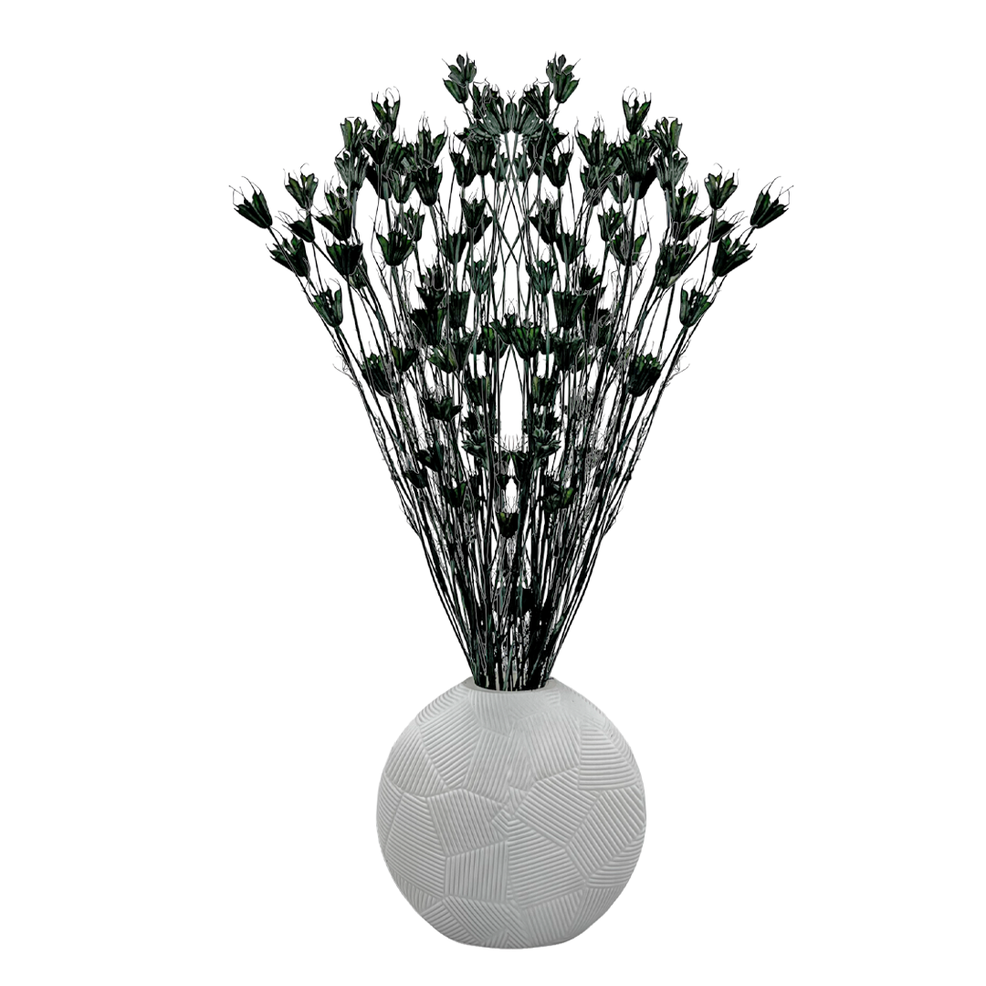 2626 Designs - Wholesale Dried/Pressed Flowers - Dried Octagon Flower, Nigella Orientalis-Love in a Mist, 24"7