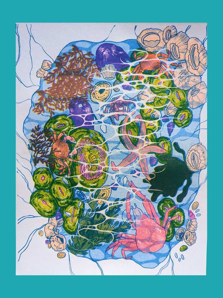 San Juan Tidepools | 8.5"x11" Risograph print for wholesale by Christina Hu