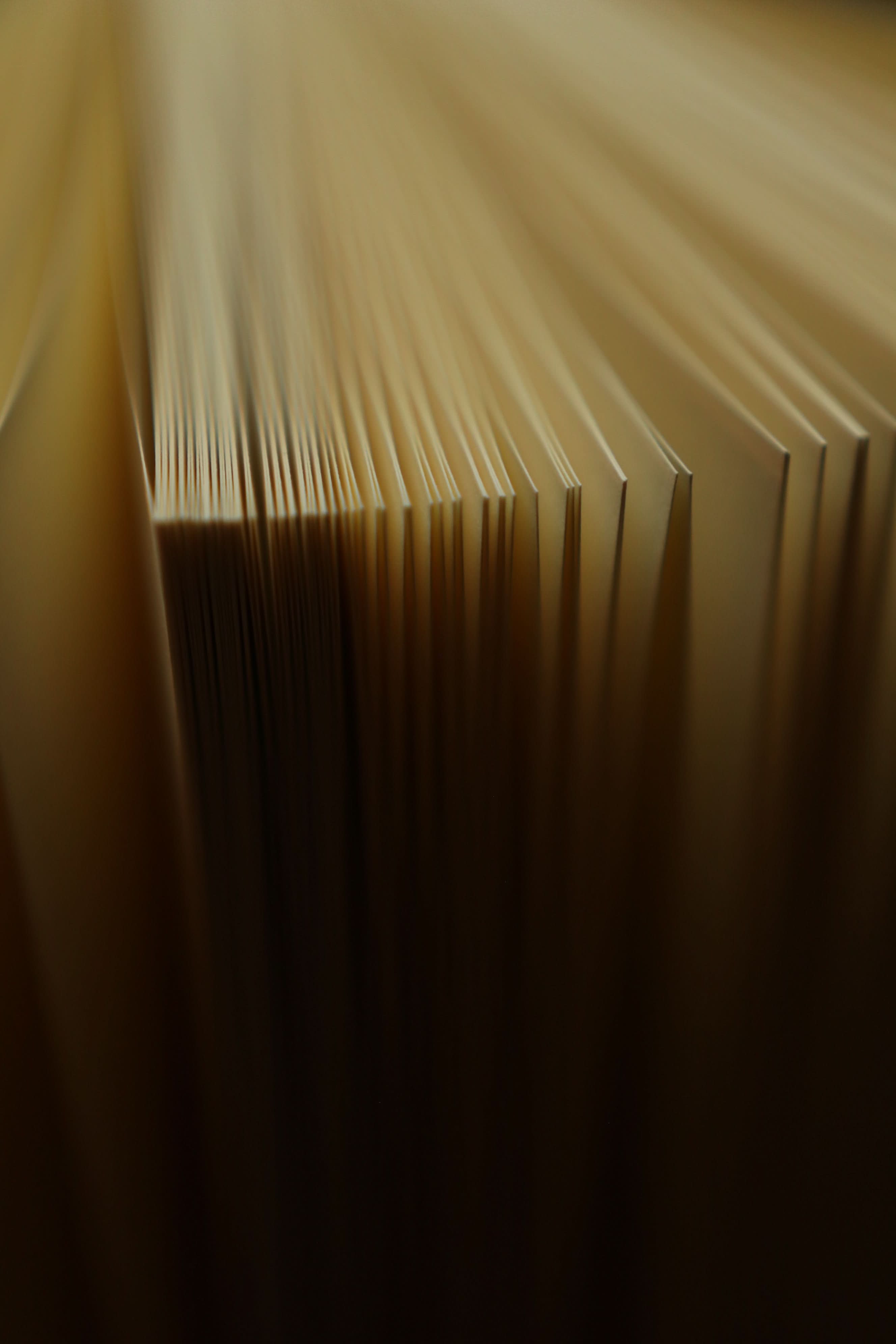 Novel Book Store - Vente Journal intime - Le Conte de Pierre Lapin de Beatrix Potter 1902 - Carnet de notes6